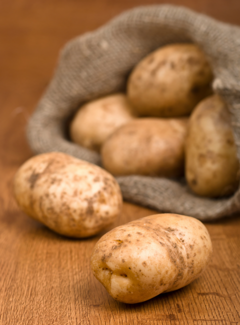 Kartoffeln frisch geerntet